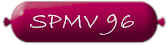 spmv96